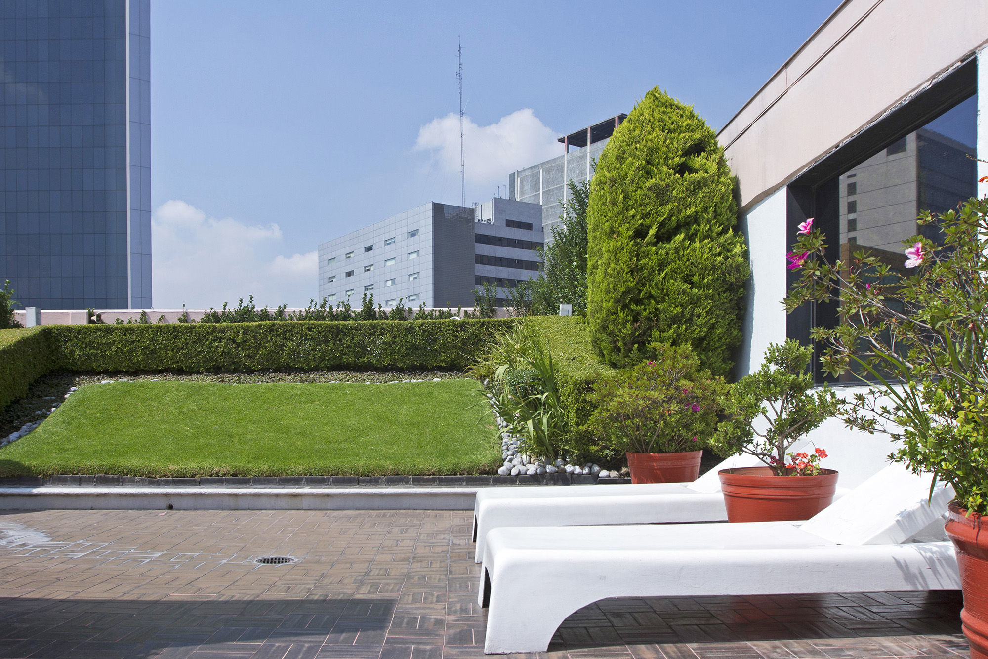 Corinto Hotel Mexico City Luaran gambar